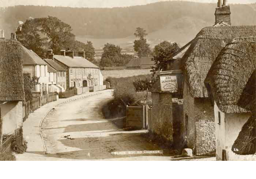 Walking to the allotments